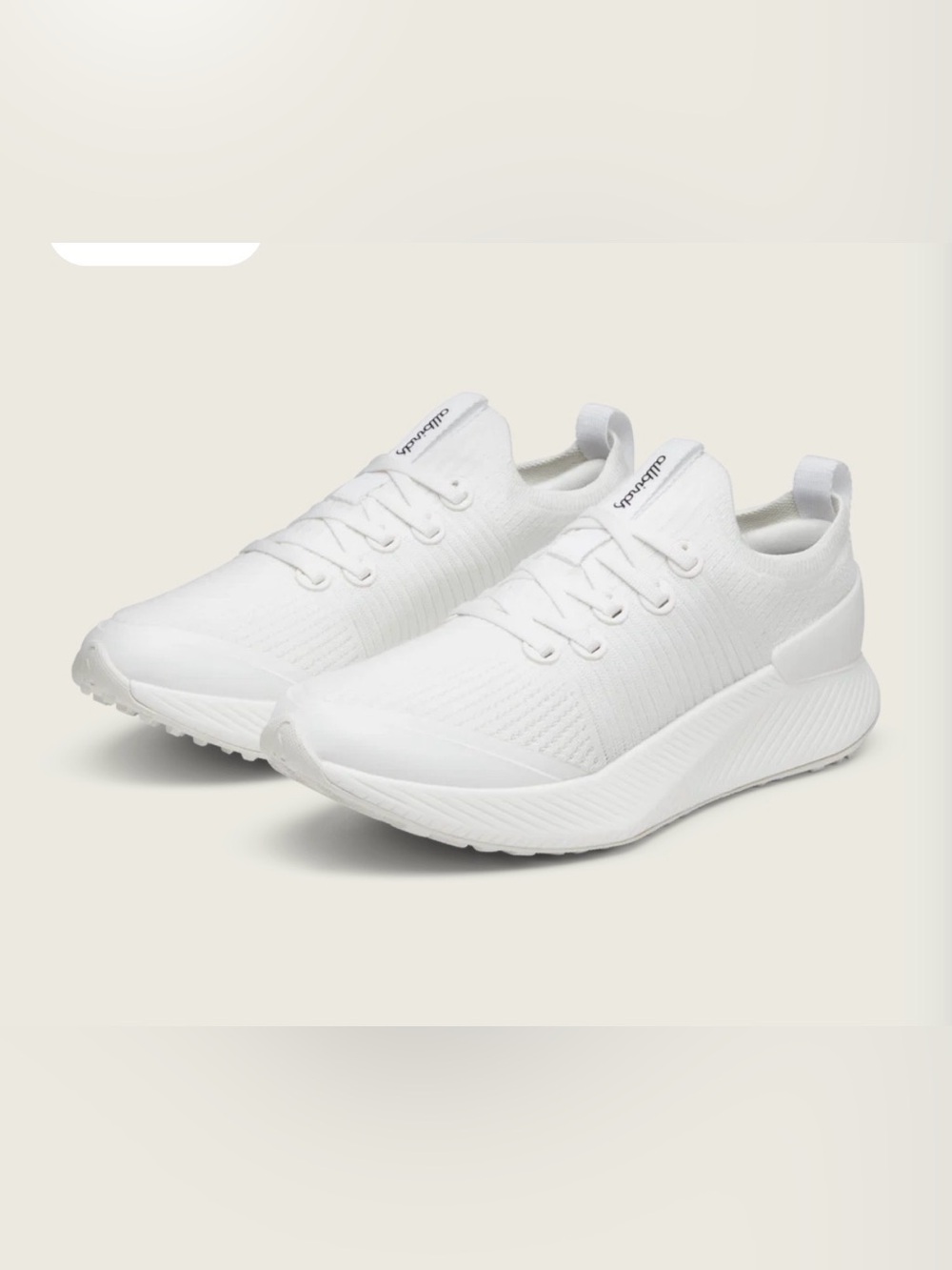 Women’s All birds Tree Glider White Knit Lace-Up Sneakers